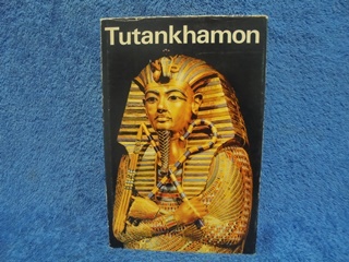 Tutankhamon, Faaraon elm ja kuolema, K2969