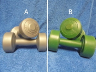 Ksipainot, harmaat Hornmex 2x3kg tai vihret Elex Dumbell 2x2kg, B572