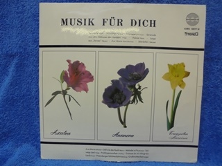 Musik fr Dich, Sddeutsches Philharmonisches Orchester, LP-levy, R393