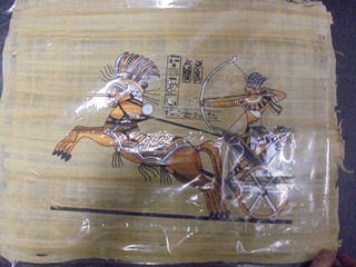 Papyrus kuva, Egypti- hevoset- krryt- soturi, hieroglyfit, S1065