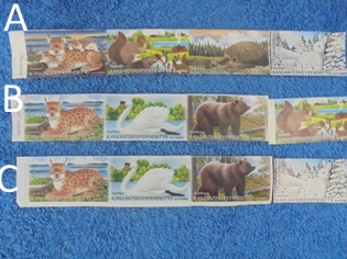 Tarra 4 kpl, Suomen Kansanterveysyhdistys, Elin-kuva, R516
