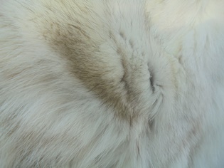 Naisten vaalea pitk� aito turkis takki, V290