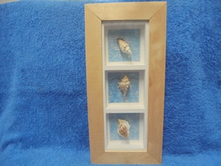 Puukehyksinen Simpukankuoret- taulu, 3 lokeroa, S469