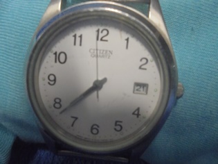 Citisen Quartz, rannekello, joustava ter�sranneke, V1039