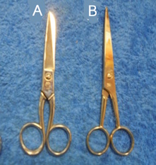 Sakset, tylpp�/ter�v� tai 2xter�v�- k�rkiset, R1268