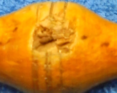 Visakoivuinen morttelin sauva, puu/messinki, A1984