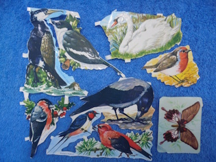 Vanhat kiiltokuvat, linnut ja perhonen, ker�ily, R680