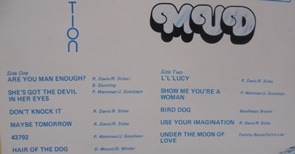 MUD use your imagination, 1975, LP-levy, R922