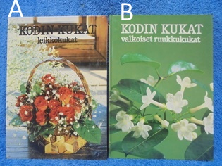 Kodin kukat, Leikkokukat tai Valkoiset ruukkukukat, Furusj Maja-Lisa, K1658
