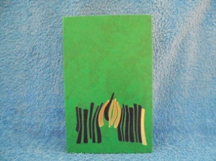 Pivien kimallus, Suyin Han, K41