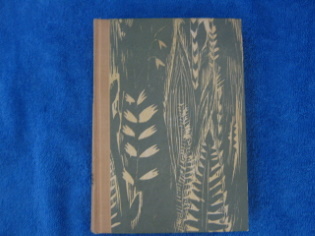 Elmn kevt, Rawlings Marjorie Kinnan, K432
