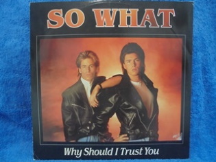 So what, Why Should I Trust You, 1989, Maxi-Single, R896