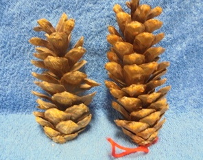 Kapeat isot kvyt 2kpl, S299