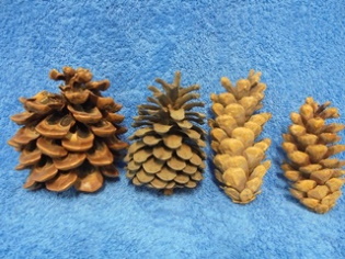 Isohkot kvyt 4kpl, sisustus, askartelu, S516