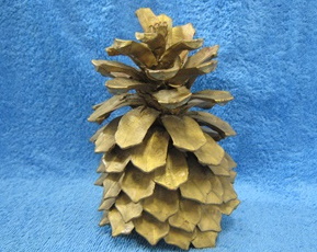 Iso kpy, kullanvriseksi maalattu, S795